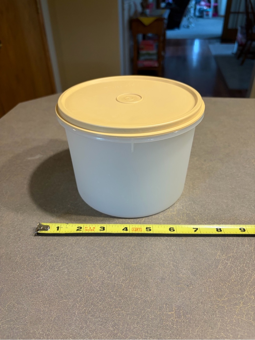 Tupperware Container Round With Tan Lid
